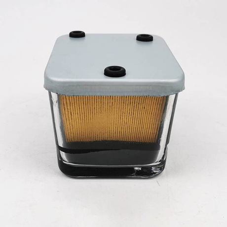 Replacement STANADYNE Fuel Filter 26667